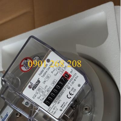 ĐỒNG HỒ ĐO LƯU LƯỢNG EQZ Q250 DN100